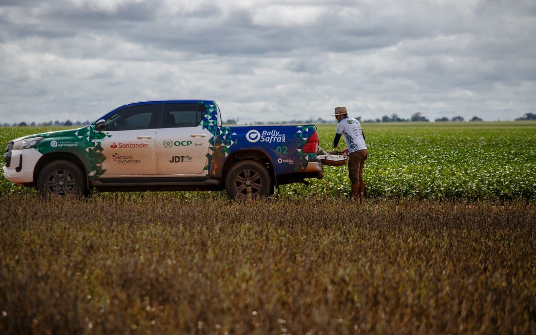 Rally da Safra apresenta estimativas para a 2ª safra de milho 23/24