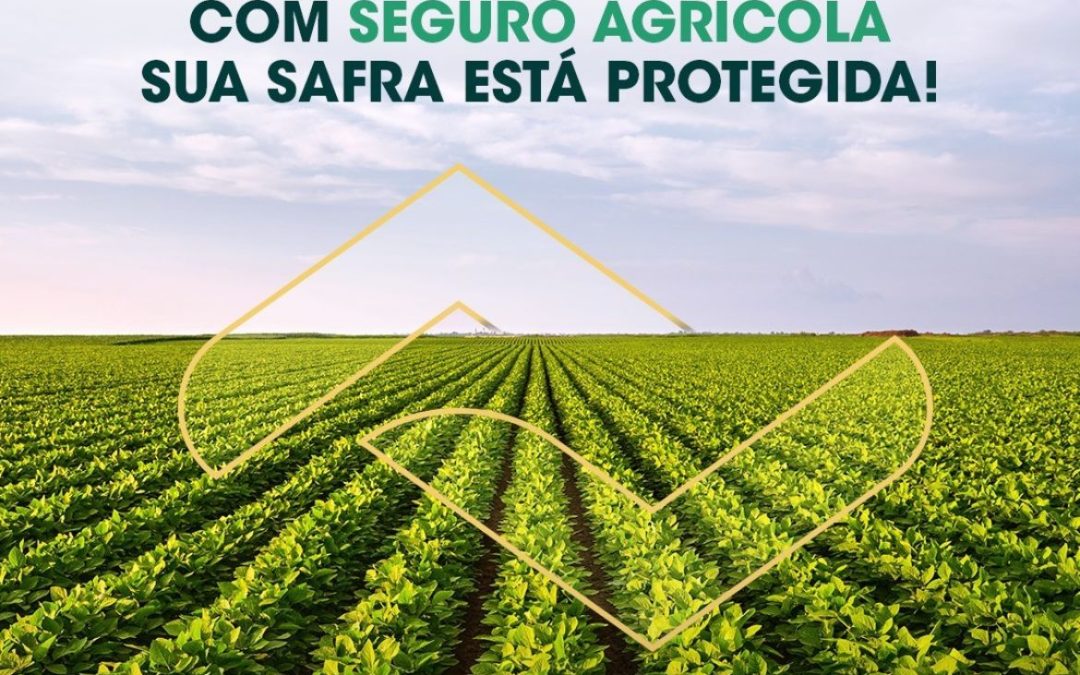 Seguro Agrícola: por que você precisa dele?